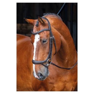 Shires Velociti Rapida Ergonomic Curved Flash Bridle - Black