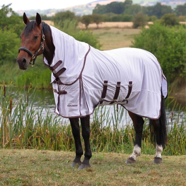 A bay horse in a white Shires fly sheet with neck cover by a lake