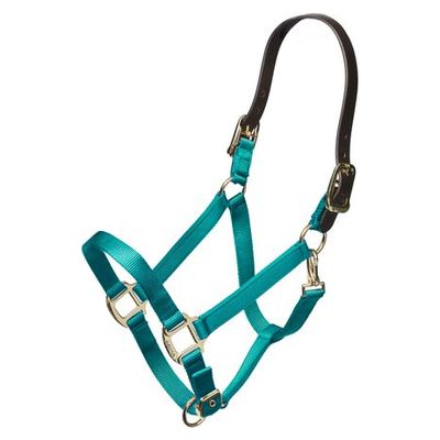 Shires Nylon Halter w/Leather Head Strap - Teal