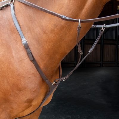 Shires Velociti Rapida Breastplate - Havana