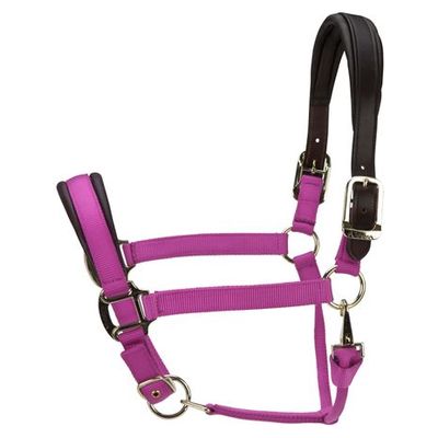 Shires ARMA Premium Nylon Halter w/Leather Padding - Raspberry