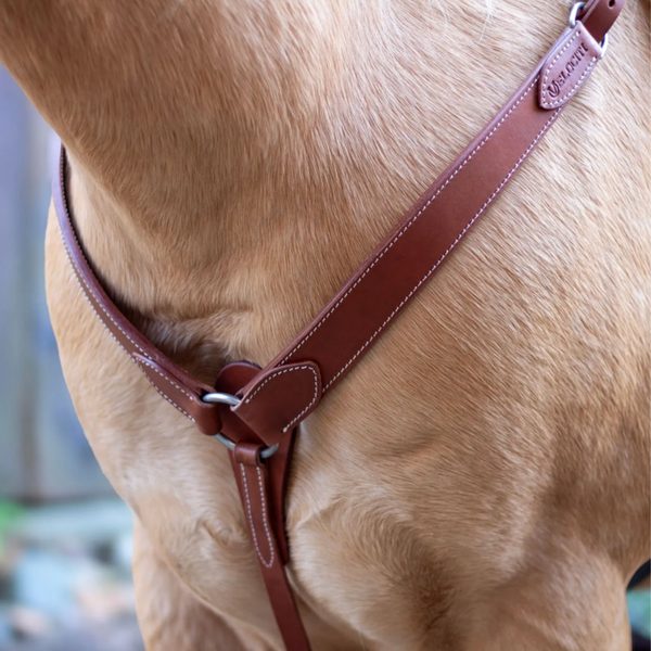A Shires Avignon leather breastplate on a palomino horse