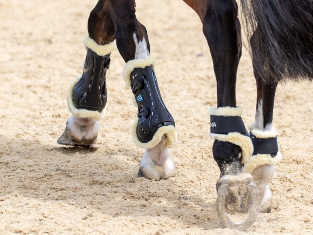 A horse in black and cream Shires ARMA SupaFleece boots in a sand arena