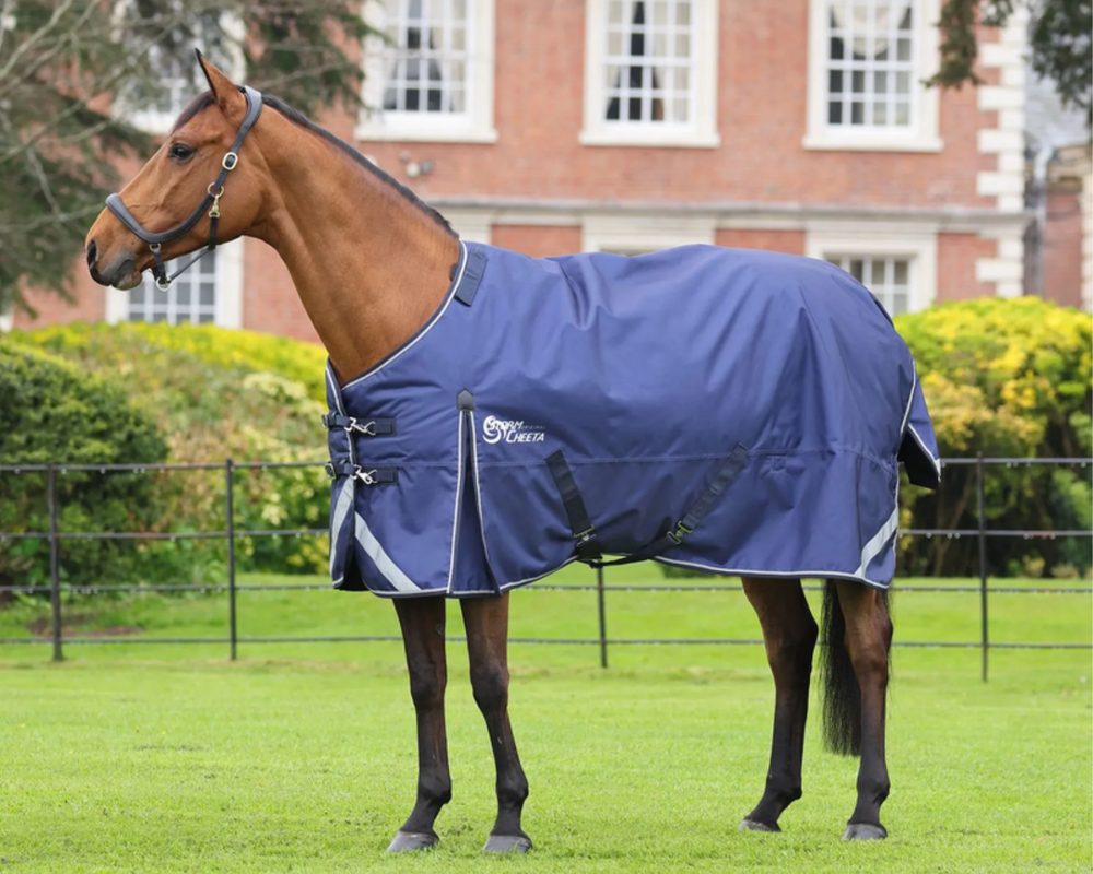 A bay horse in a navy Shires turnout blanket standing on a lawn