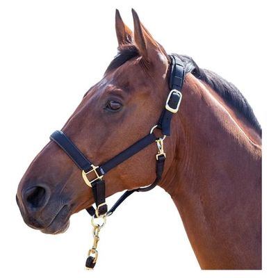 Shires Topaz Leather Breakaway Nylon Halter - Black
