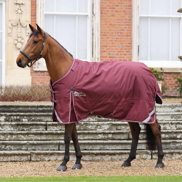A bay horse in a burgundy Shires turnout blanket in front of a brick house
