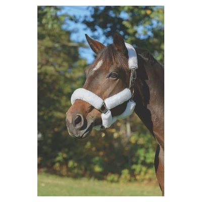 Shires ARMA Supafleece Halter Set - White