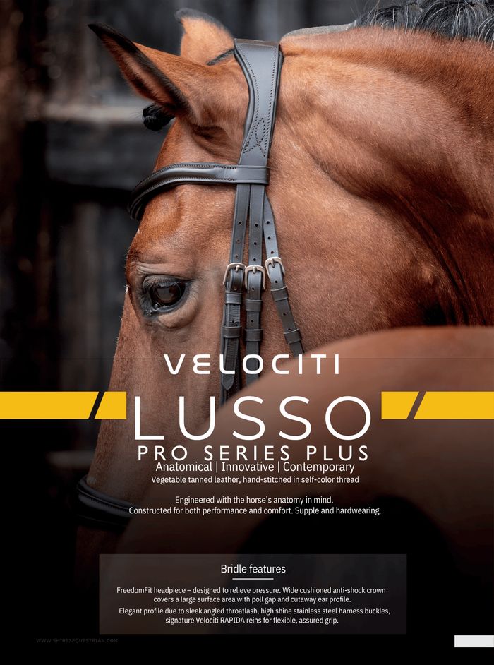 Shires Velociti Lusso bridles, catalog page