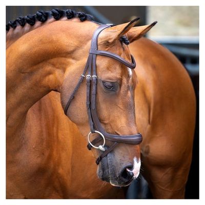 Shires Velociti Lusso Ergonomic Curved Flash Bridle - Havana
