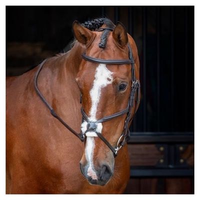 Shires Velociti Rapida Figure 8 Bridle - Havana