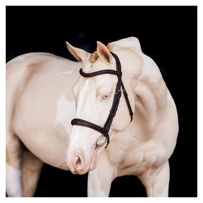 Shires Velociti Lusso Raised Padded Bridle - Black