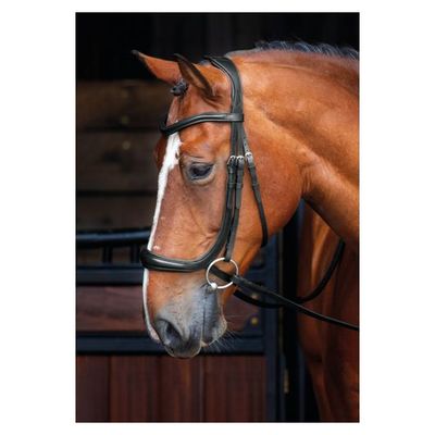 Shires Velociti Rapida Ergonomic Curved Cheek Bridle - Havana