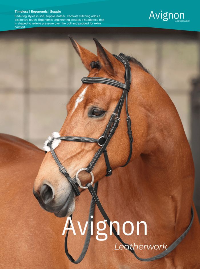 Shires Avignon leatherwork, catalog page