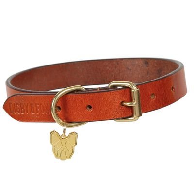 Digby & Fox Flat Leather Dog Collar - Tan