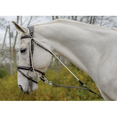Shires Avignon De Gogue Trainng Aid - Havana