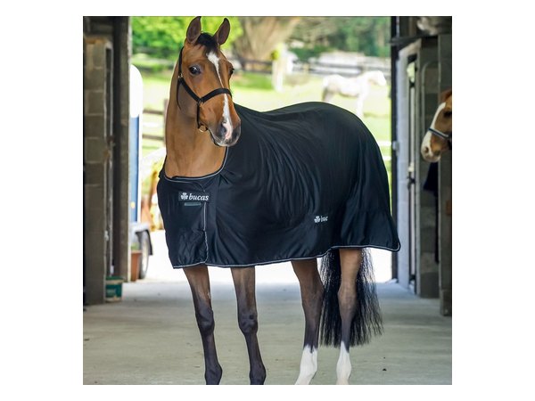 Bucas Shamrock Power Cooler - Black