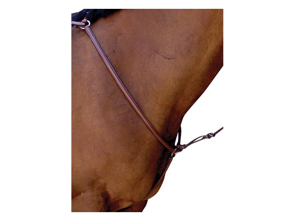 Passport Plain Raised Breastplate - Mahogany