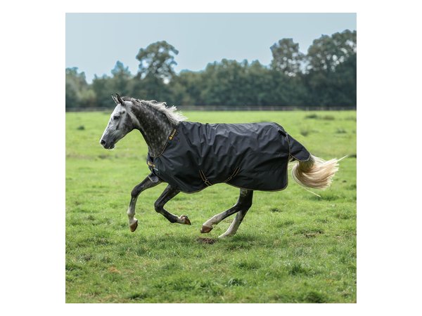 Bucas Irish Turnout Sheet 0g - Black/Gold