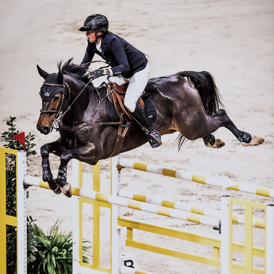 A rider jumping a dark bay horse in black Veredus boots over a yellow and white fence