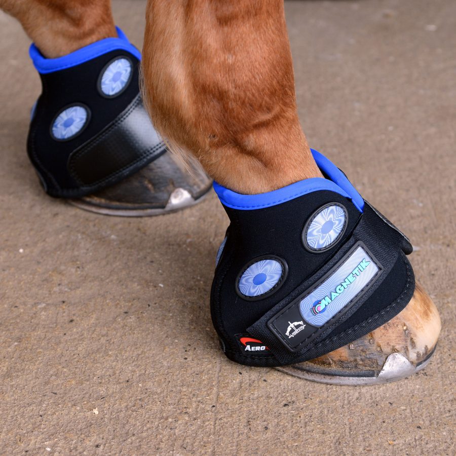 A horse's hoof in a black and blue Veredus Magnetik overreach boot
