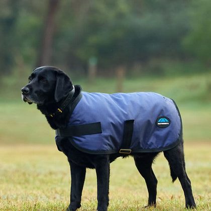 Weatherbeeta Comfitec Classic Waterproof Dog Coat - Navy
