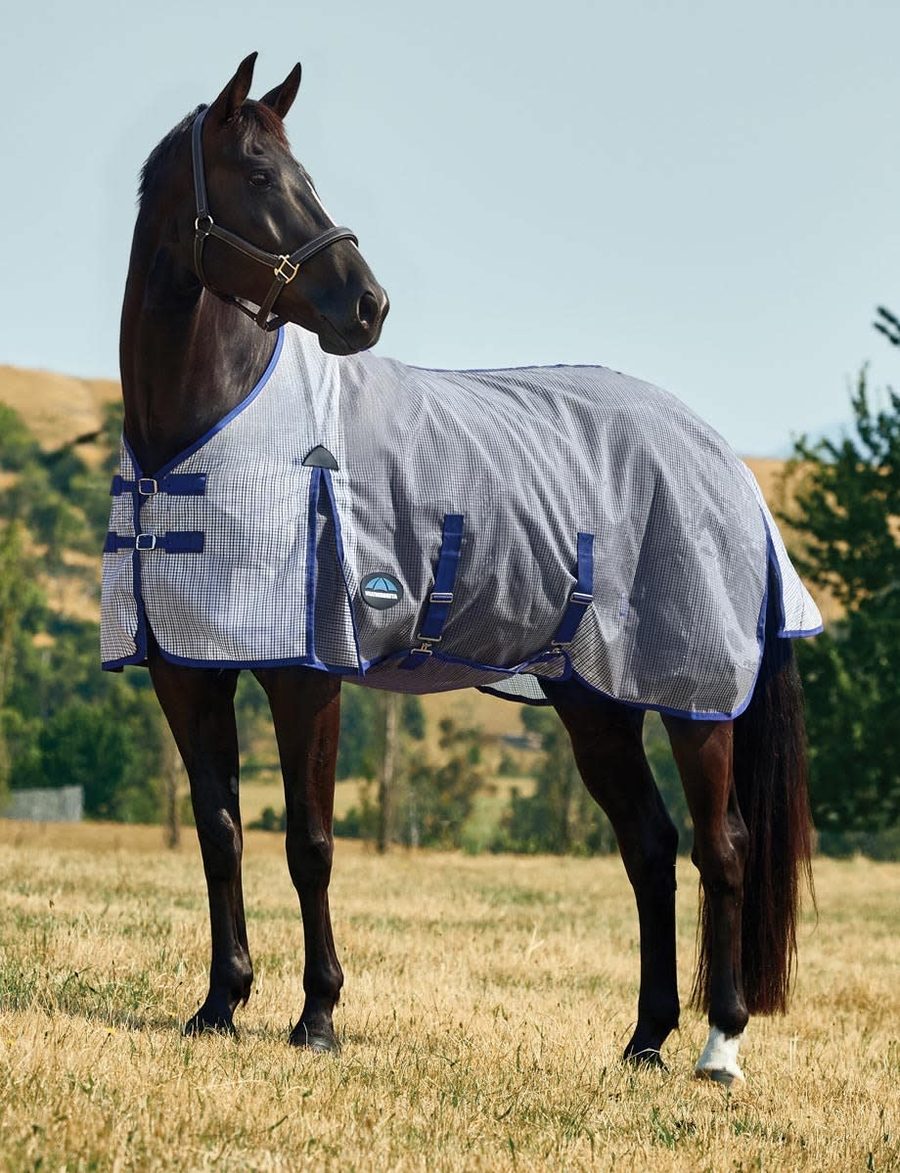 A bay horse in a white and blue WeatherBeeta ComFiTec Ripshield fly sheet standing in a dry paddock