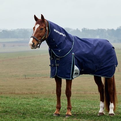 Weatherbeeta Comfitec Plus Dynamic Turnout Detach-A-Neck 100G - Navy/Forest Green