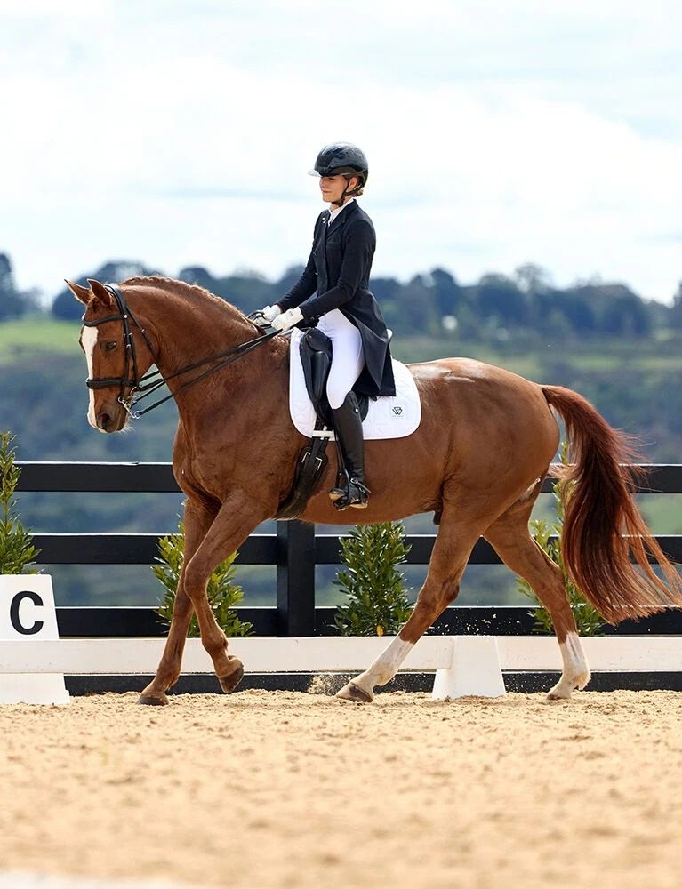 A rider on a chestnut horse in a white WeatherBeeta dressage saddle pad at the trot in a sand arena