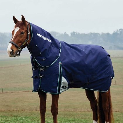 Weatherbeeta Comfitec Plus Dynamic Turnout Detach-A-Neck 360g - Navy/Forest Green