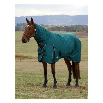 Weatherbeeta Comfitec Classic Turnout Combo 0g - Forest Green/Black