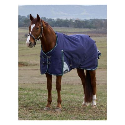 Weatherbeeta Comfitec Plus Dynamic Turnout 0g - Navy/Forest Green