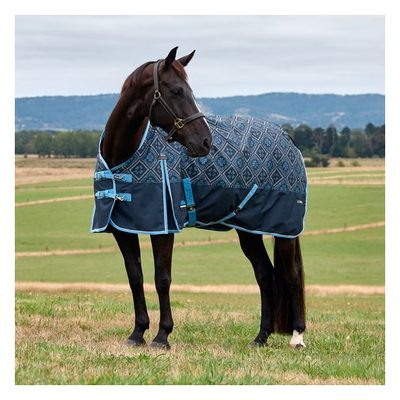 Weatherbeeta Comfitec Heritage Turnout 220G - Paisley Print