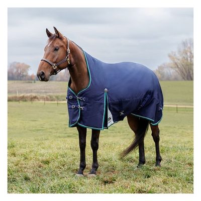 Weatherbeeta Comfitec Plus Dynamic Turnout High Neck 0G - Navy/Forest Green