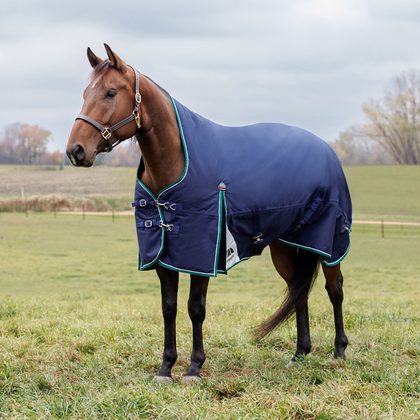 Weatherbeeta Comfitec Plus Dynamic Turnout High Neck 0G - Navy/Forest Green
