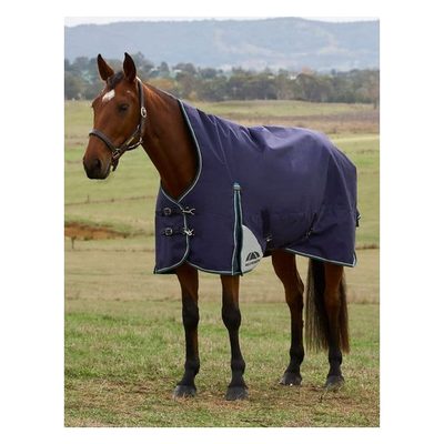 Weatherbeeta Comfitec Plus Dynamic Turnout High Neck 220g - Navy/Forest Green