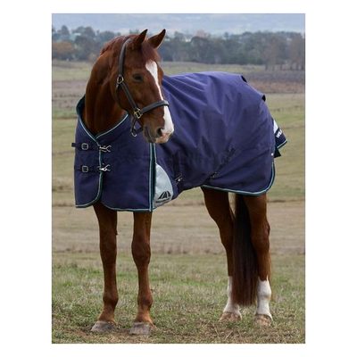 Weatherbeeta Comfitec Plus Dynamic Turnout 100g - Navy/Forest Green