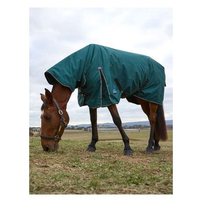 Weatherbeeta Comfitec Classic Turnout Combo 360g - Forest Green/Black