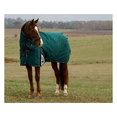 Weatherbeeta Comfitec Plus Dynamic Turnout Detach-A-Neck 100G - Forest Green/Navy