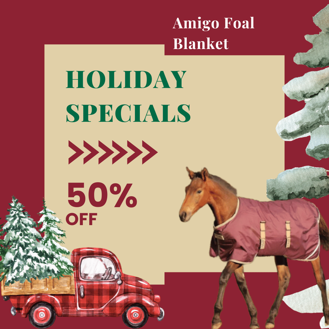 Amigo Foal Blankets