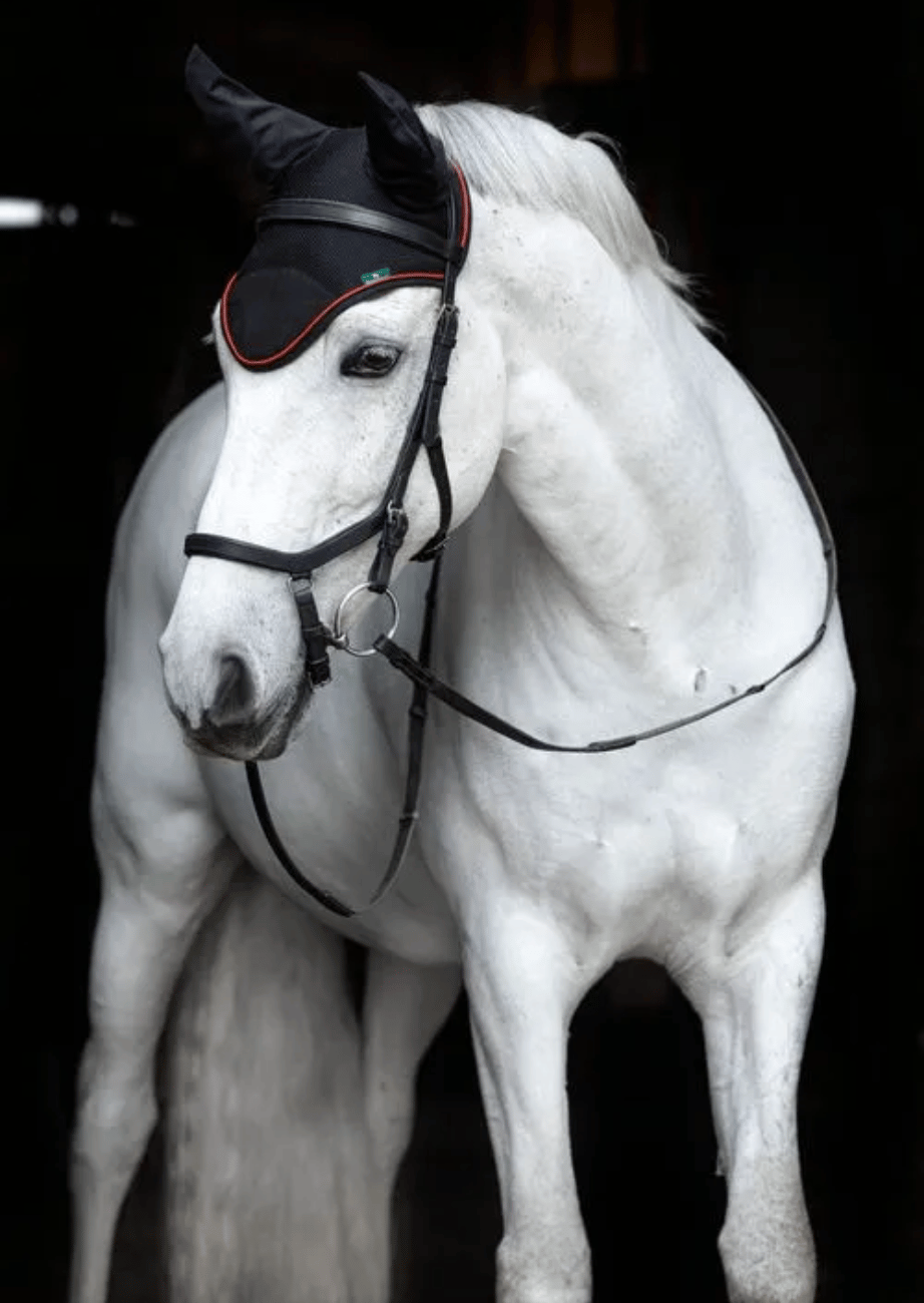 Fly Protection