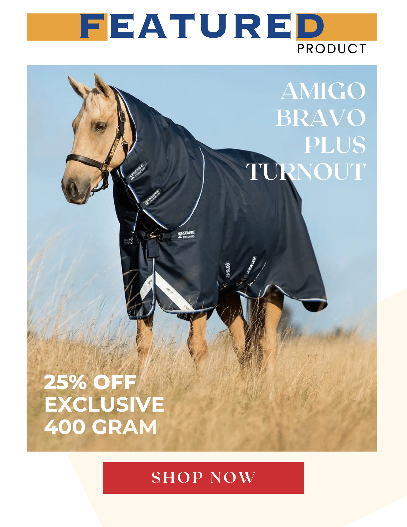AMIGO BRAVO - 400G