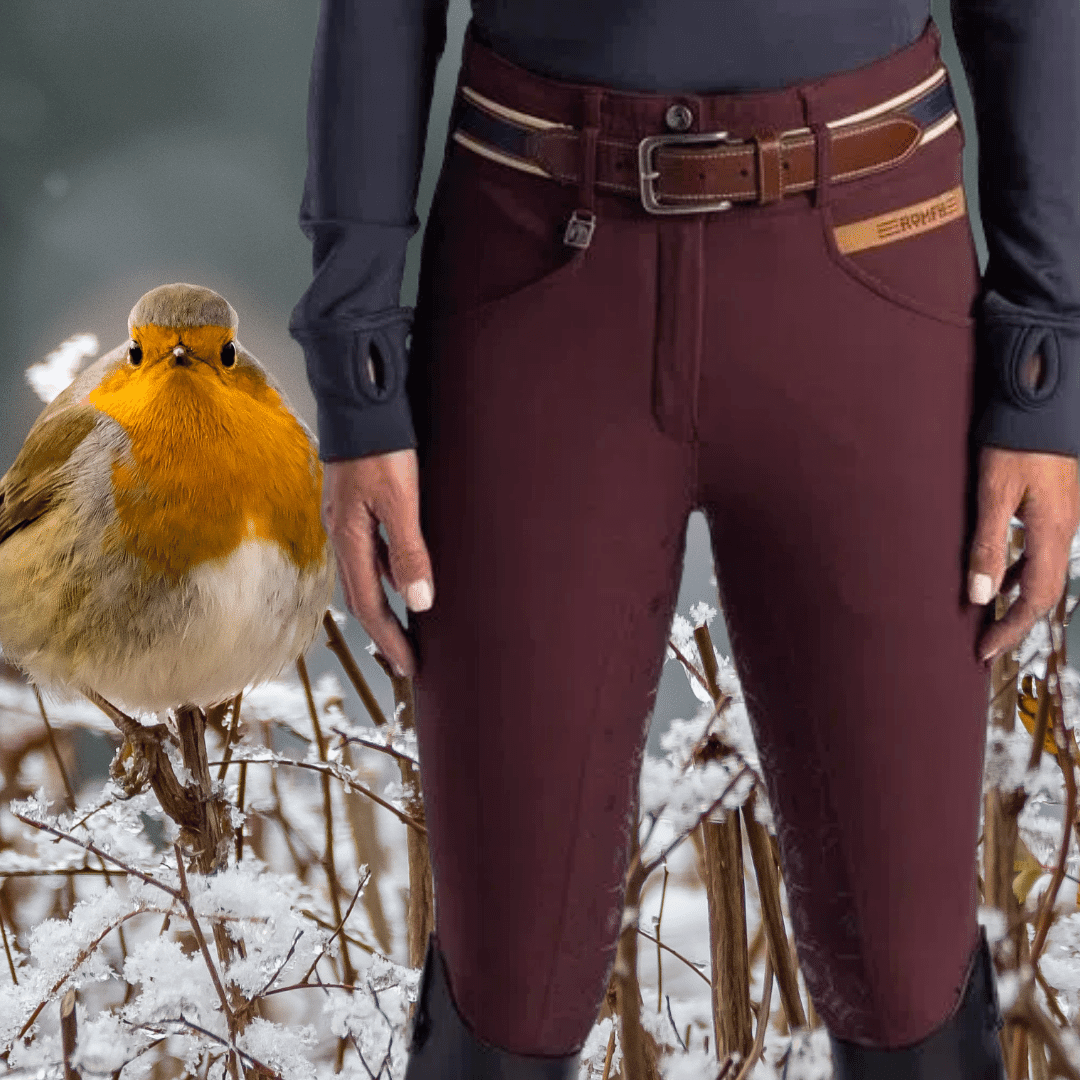 Shop for Winter Breeches