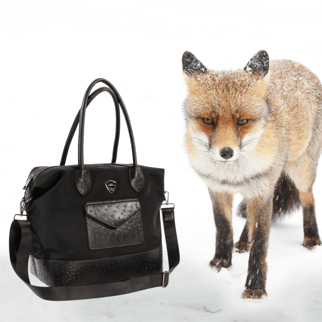 Shop for Luggage & Bags