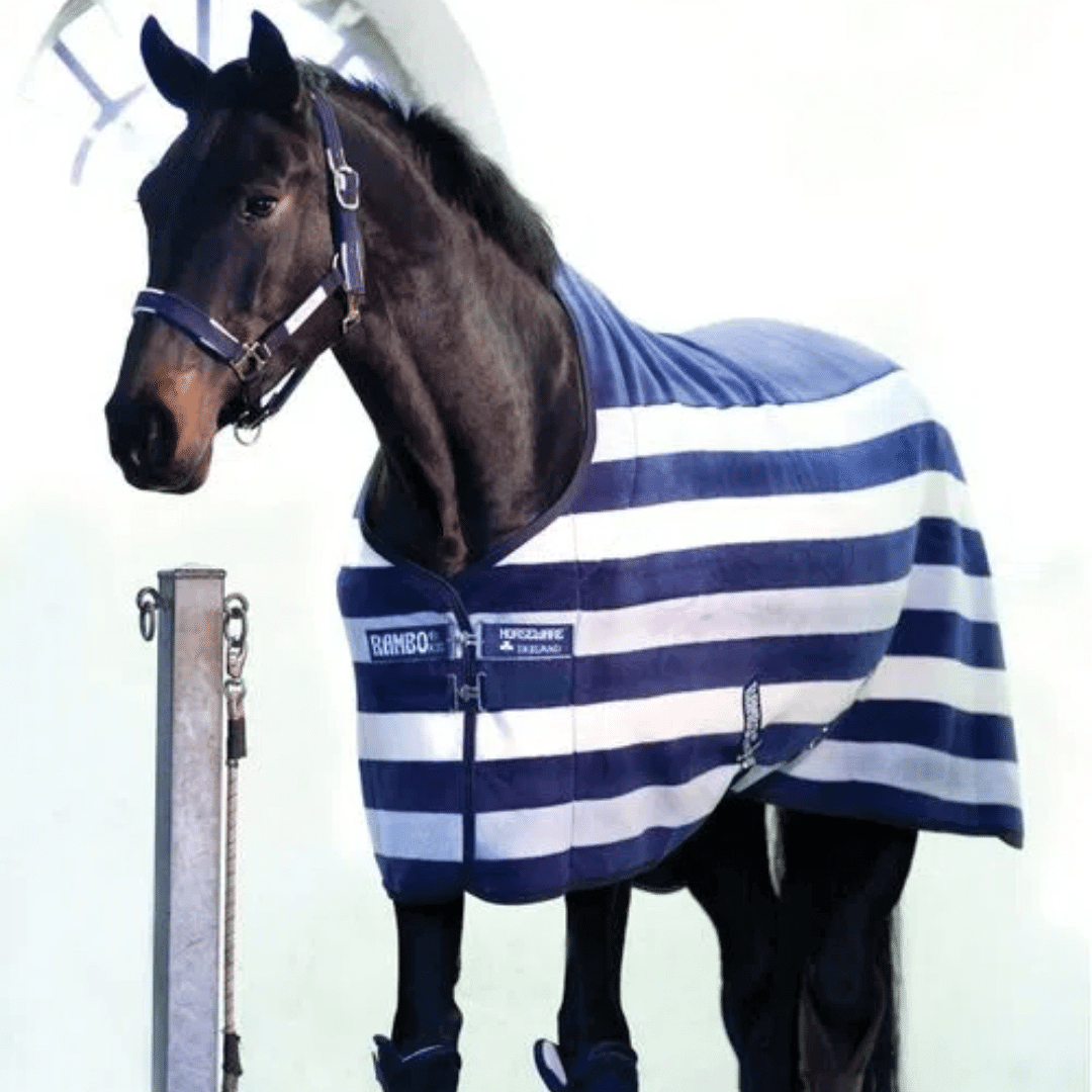 Cozy Coolers for your Horse