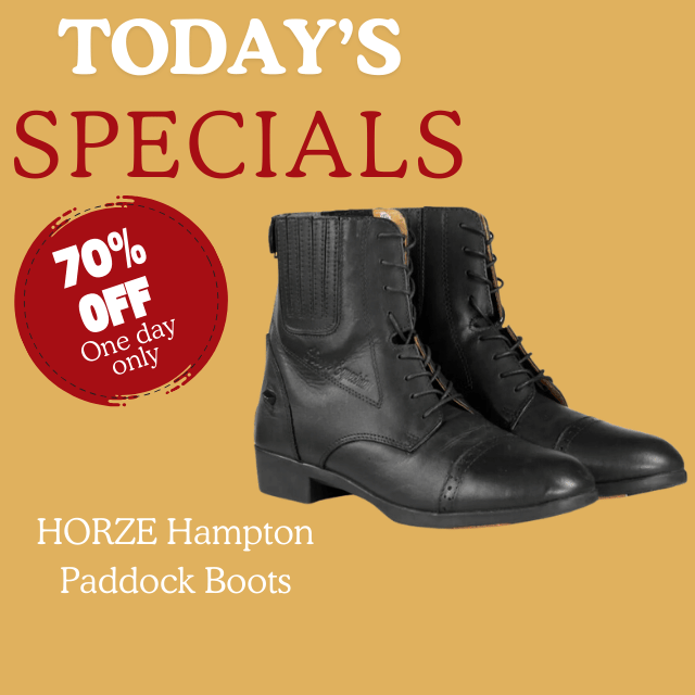 Horze Hampton Winter Paddocks