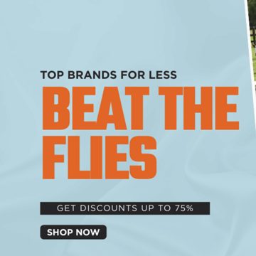 Beat the Flies