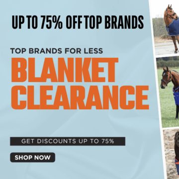 Blanket Clearance
