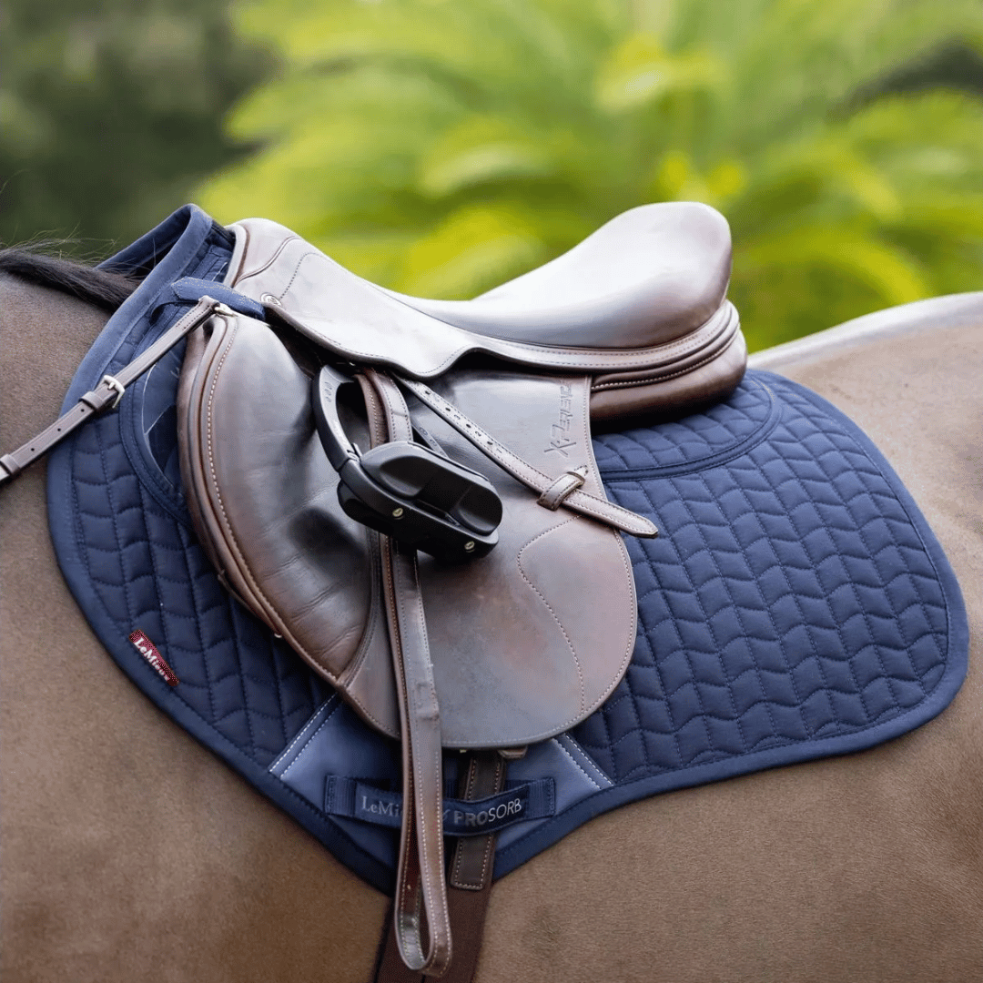 Saddle Pads Features and Sale
