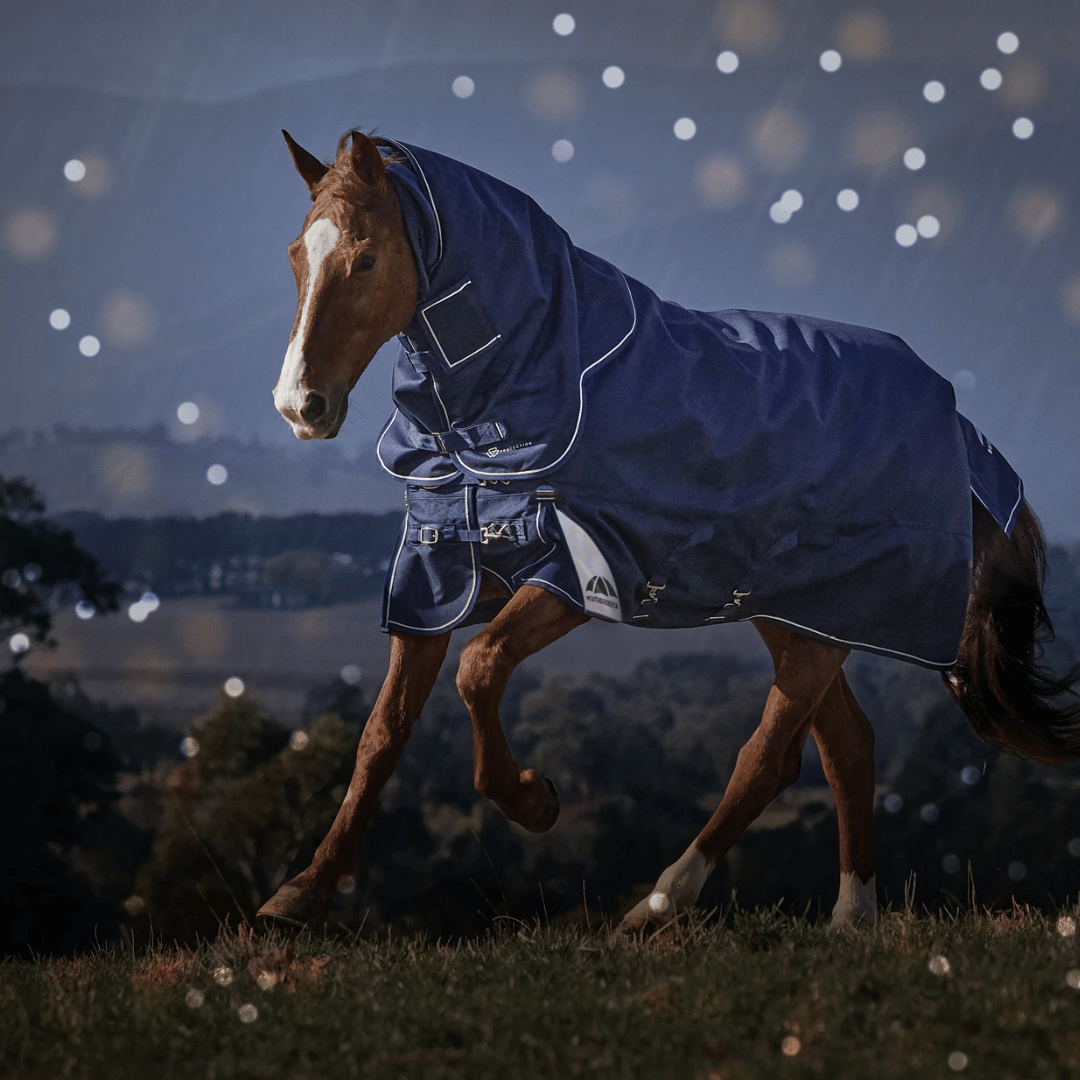 Weatherbeeta Winter Sale