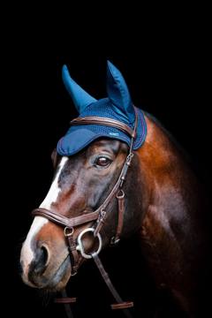 BARGAIN BARN: Rambo Ear Net - Cob/Horse - Navy/Burgundy